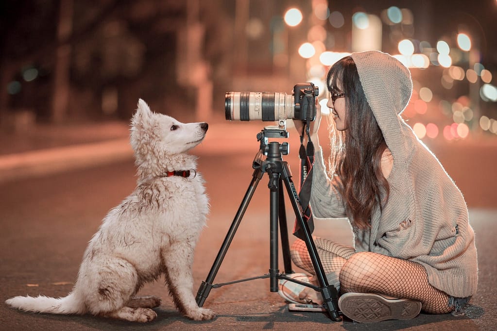 Dog photographer