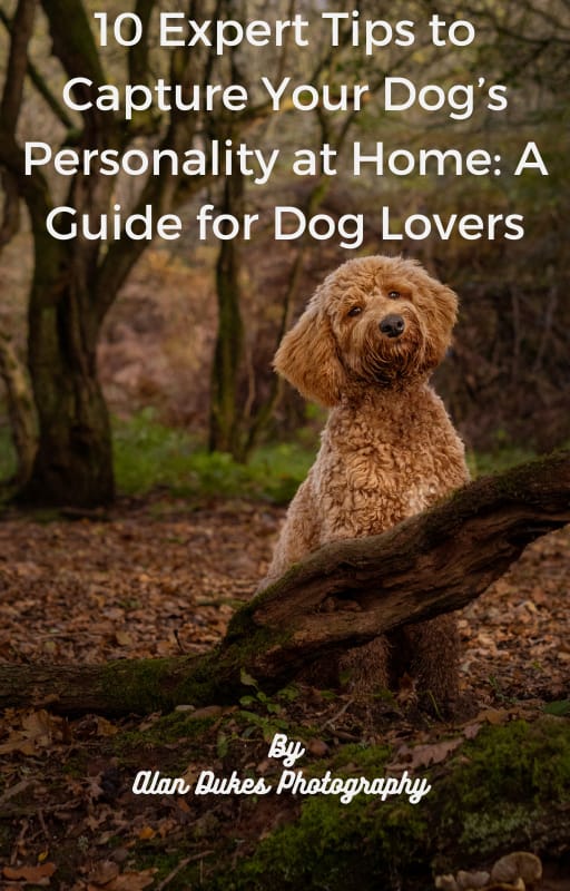 10 Expert Tips to Capture Your Dog’s Personality at Home: A Guide for Dog Lovers