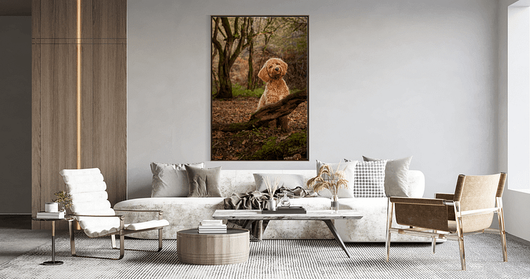 Picture of a room with wall art hanging, images taken by Alan Dukes Dog Photographer in Stoke on Trent