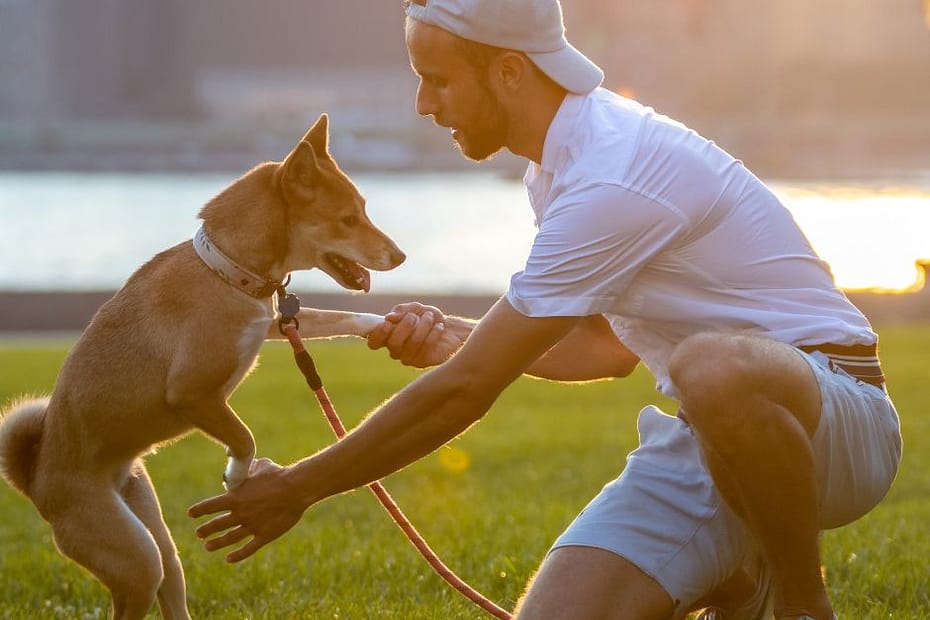 puppy and owner
