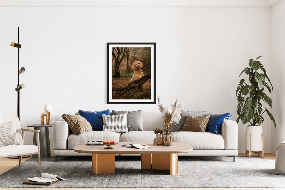 Large, framed image of a brown dog on the wall in a living room, taken by Alan Dukes Photography, dog photographer in Stoke