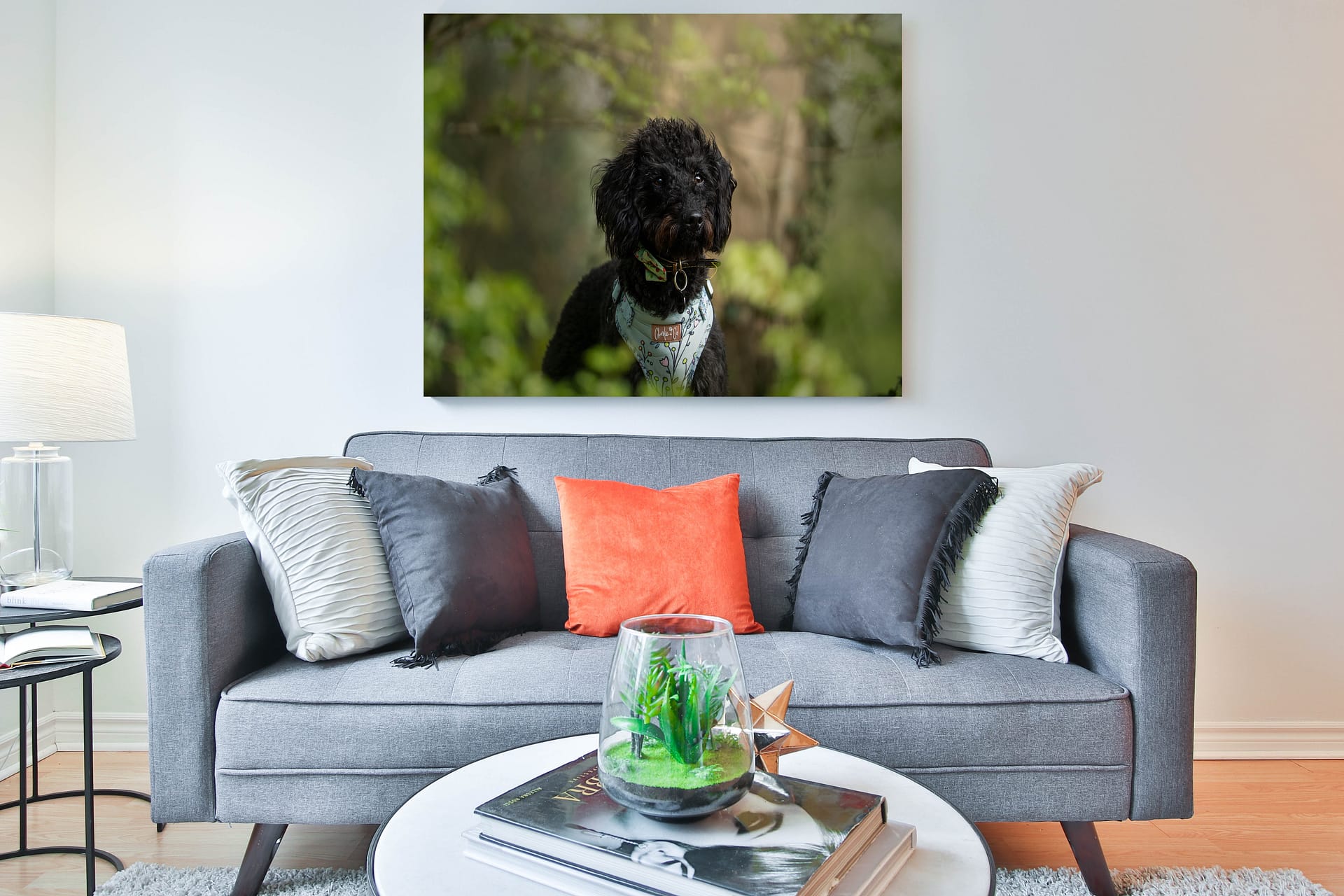 Large picture on the wall of a dog taken during a pet photoshoot